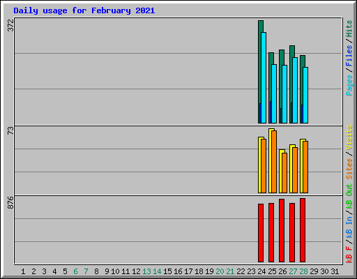 Daily usage for February 2021