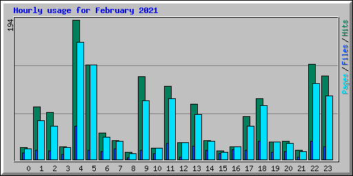 Hourly usage for February 2021