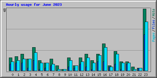 Hourly usage for June 2023